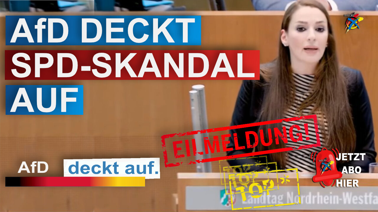 EILMELDUNG AfD DECKT SPD-SKANDAL AUF