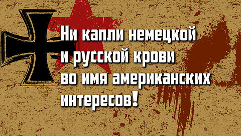 Aмериканские фенеки