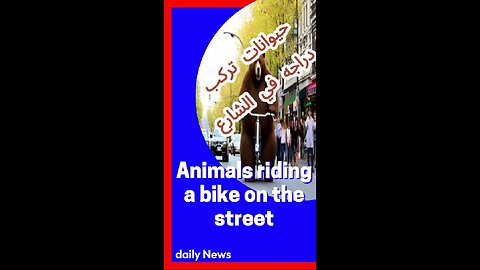 #animals_ride_bick_on_street