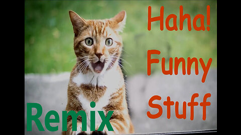 Amazing Funny Animals! make you Laugh Pets Cats Dogs! Happy People Do Funny Stuff!