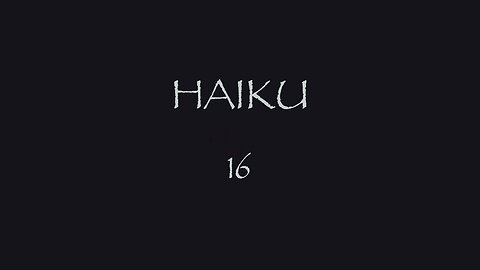 HAIKU 16