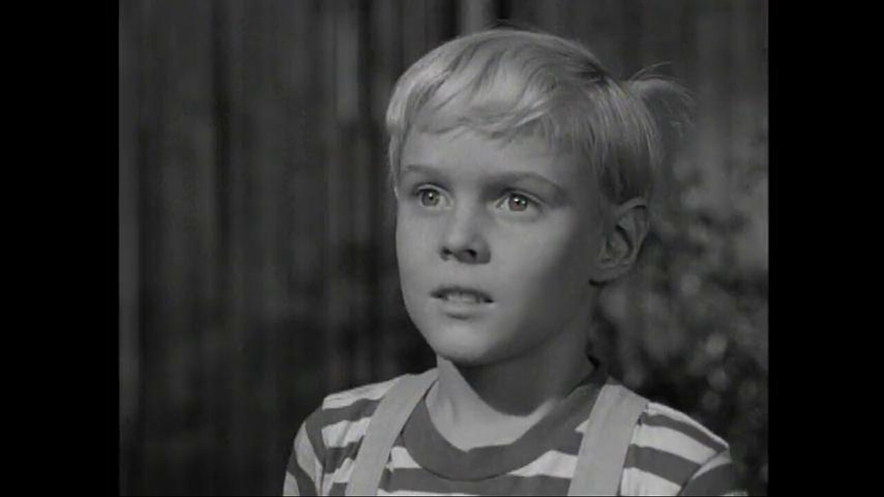 Dennis The Menace ( Dennis And The Wedding ) Full Tv Show 1960