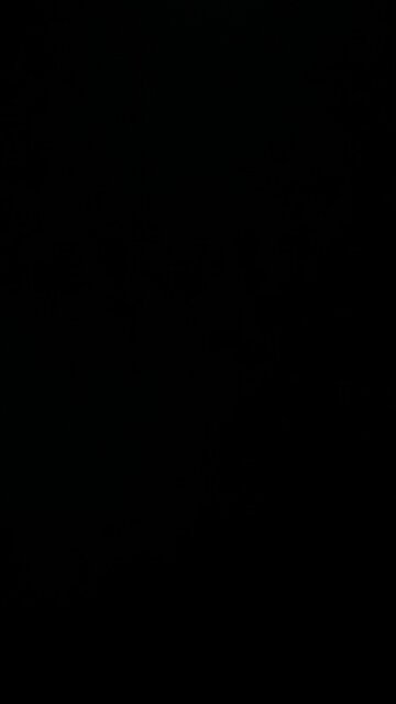 Tekken video game characters