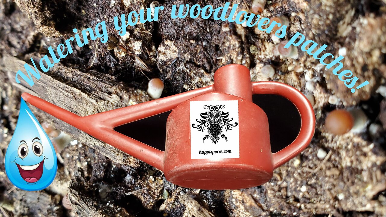 How To Water Your Woodloving Mushroom Patches