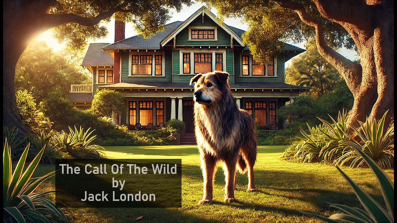 The Call of the Wild by Jack London