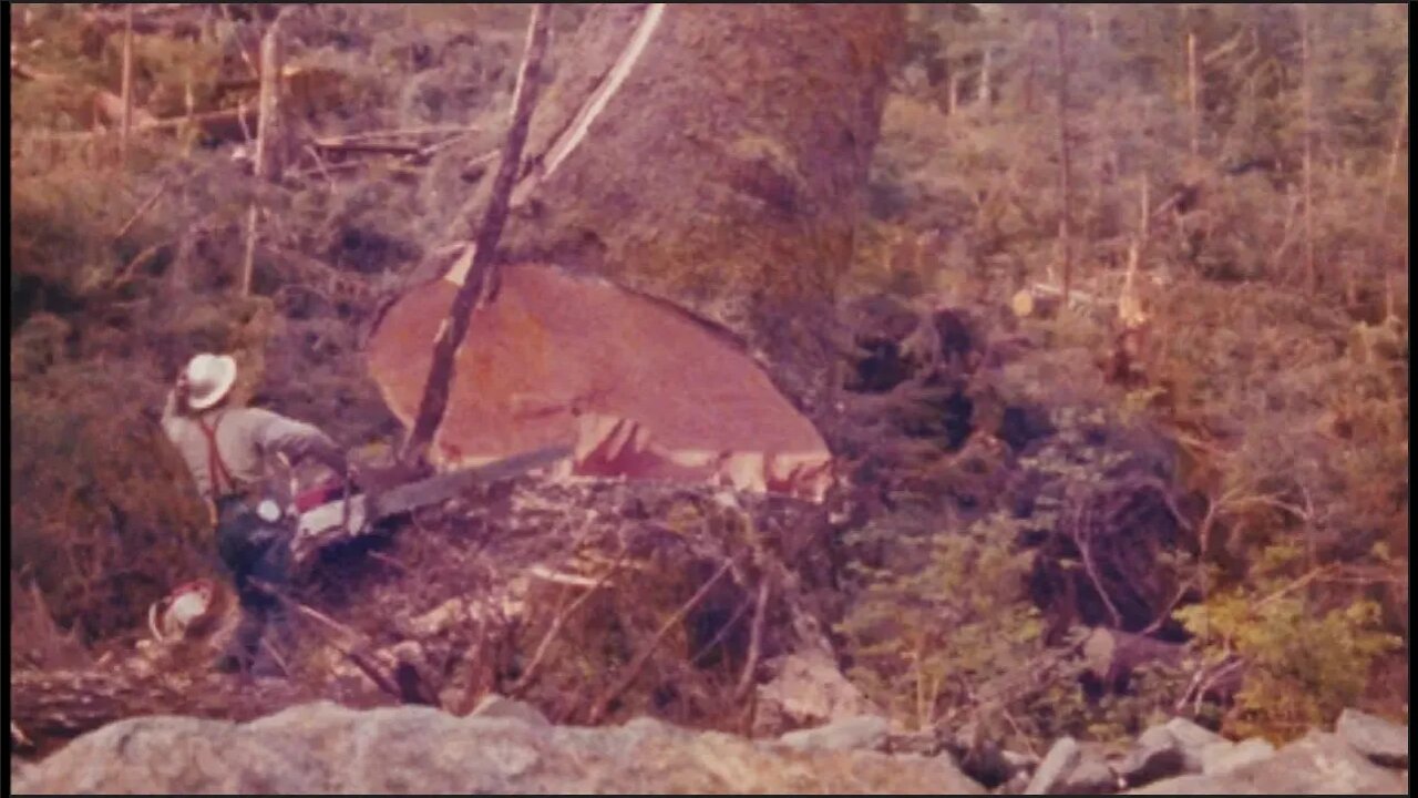 Timber Fallers