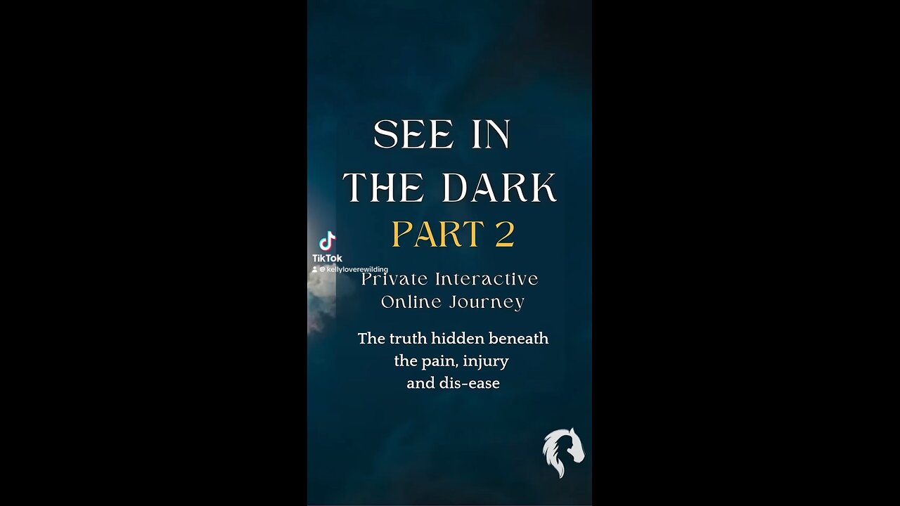 WORKSHOP: See in the Dark