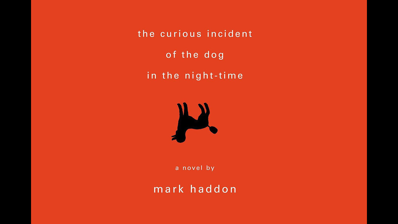 It's Book Night. The curious incident of the Dog in the Night-Time