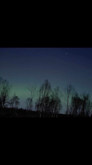 Crazy ozark woods sounds!