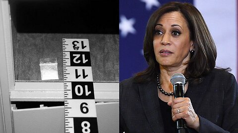 Kamala Harris was Involved in the 2023 White House Cocaine Incident