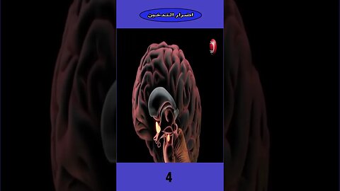 أضرار التدخين معلومات مفاجئة - The harms of smoking surprising information (English Subtitle)