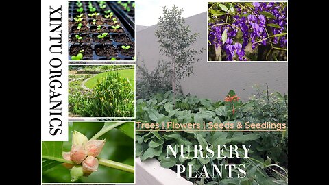 Xintu Organics Nursery