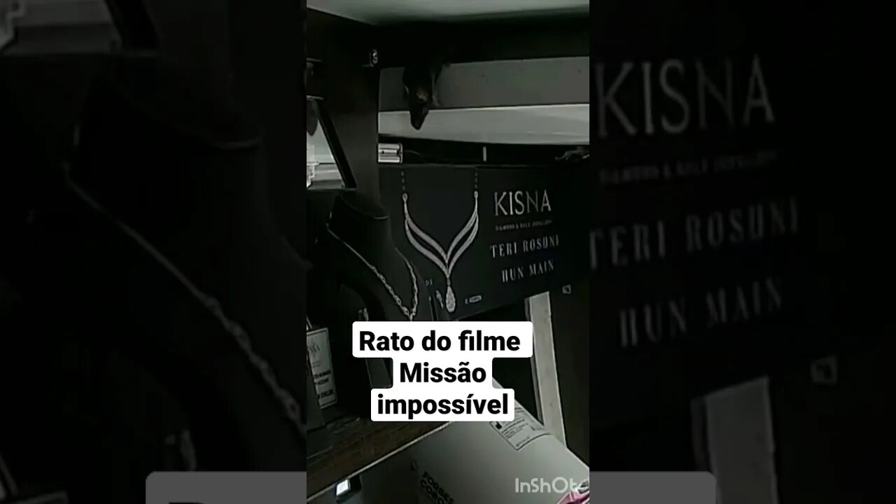 10 de fevereiro de 2023