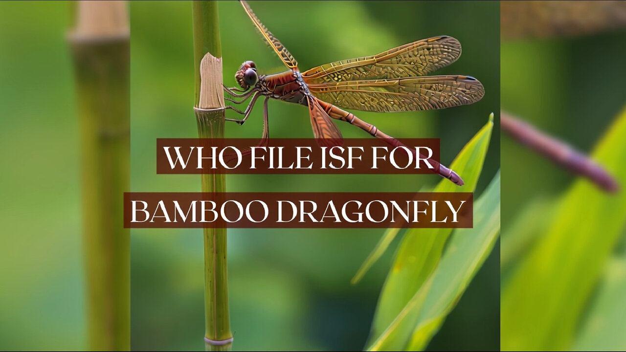 Demystifying ISF Filing for Bamboo Dragonflies: Who is Responsible?