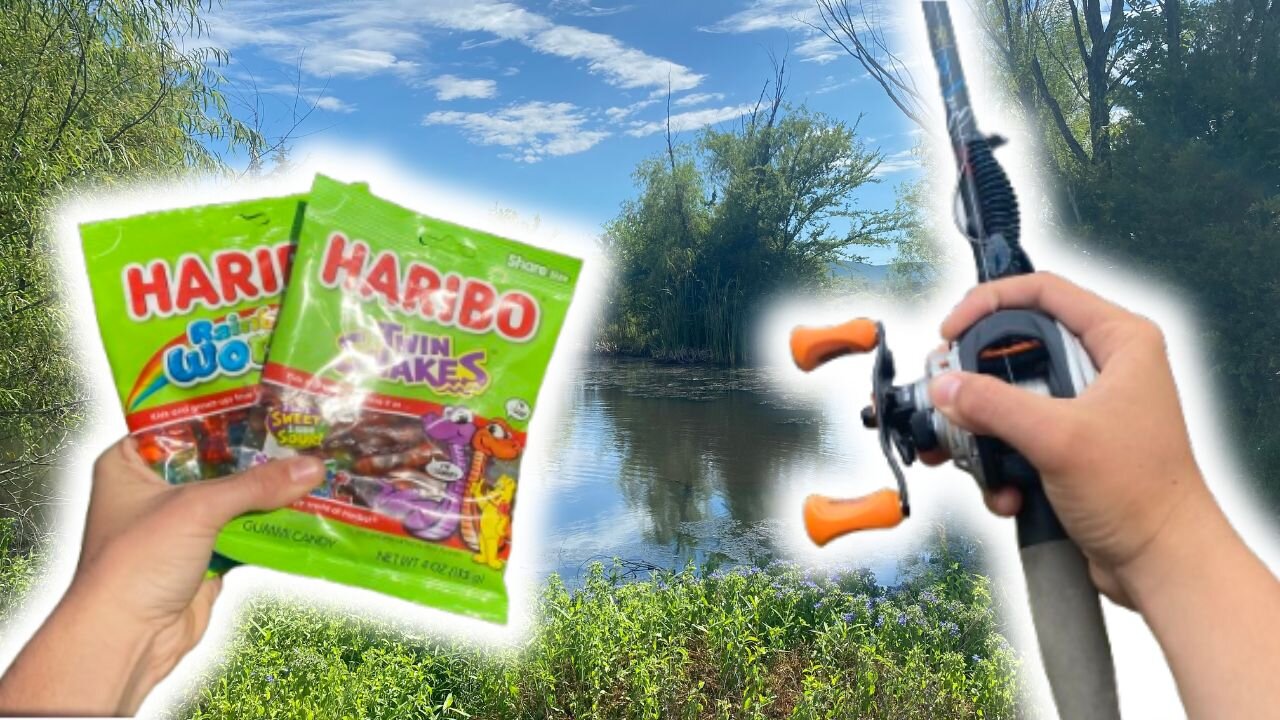 BASS FISHING WITH CANDY!