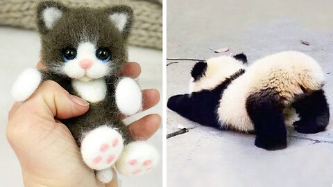 Cute baby animals Videos Compilation cute moment of the animals - Cutest Animals