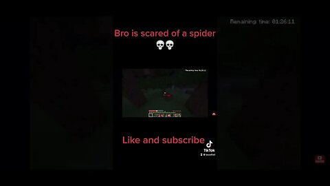 Minecraft, he is scared of a spider 💀💀