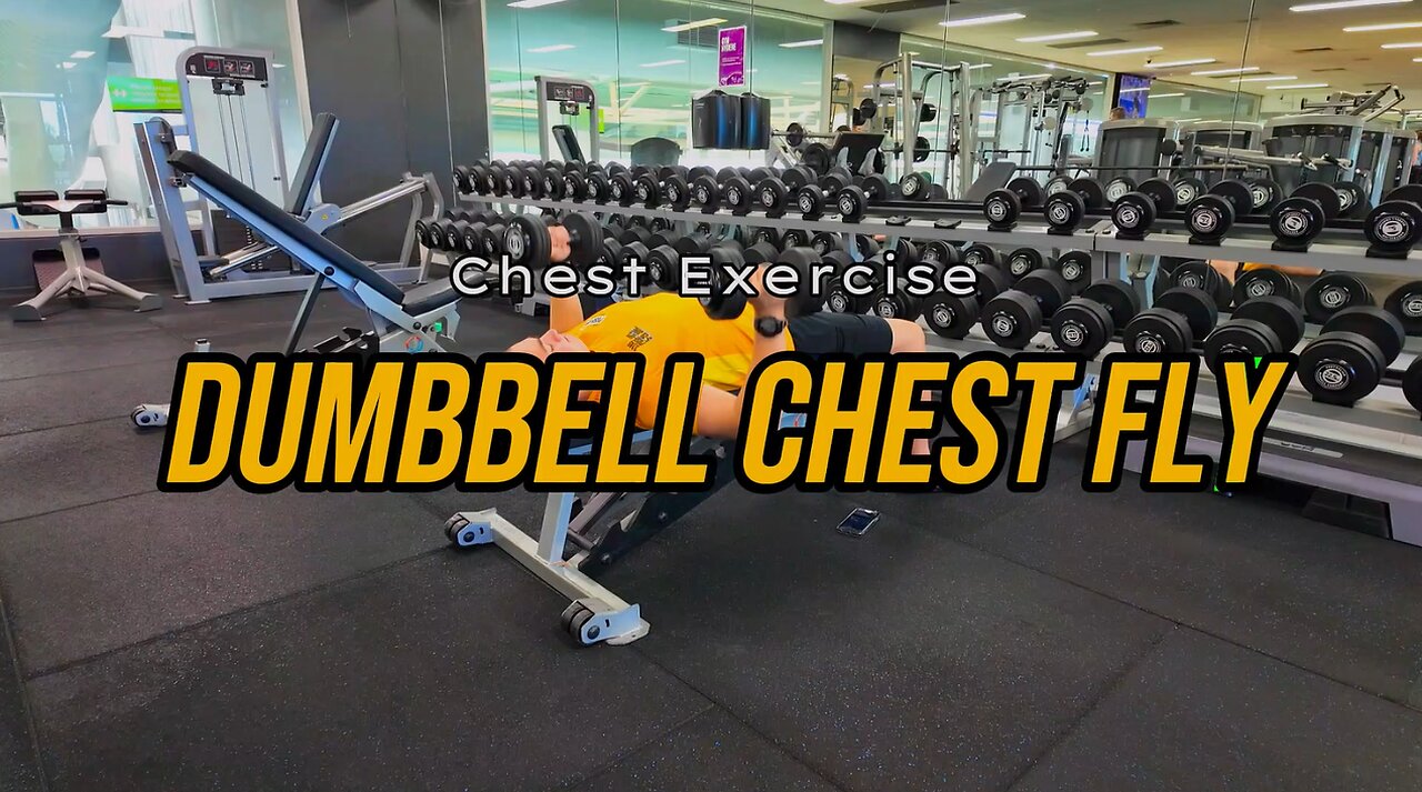 Dumbbell Chest Fly | CHEST Exercise