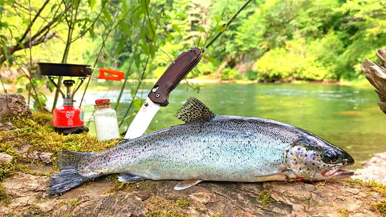 SOLO Trout Fishing REMOTE RIVER with my DOGS!!! (Catch & Cook)