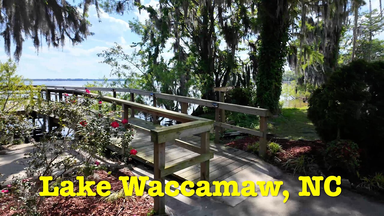 I'm visiting every town in NC - Lake Waccamaw, North Carolina