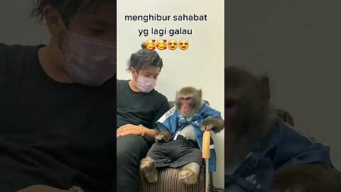 Menghibur sahabat