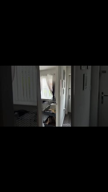 SHE LOVES IT! #shorts #short