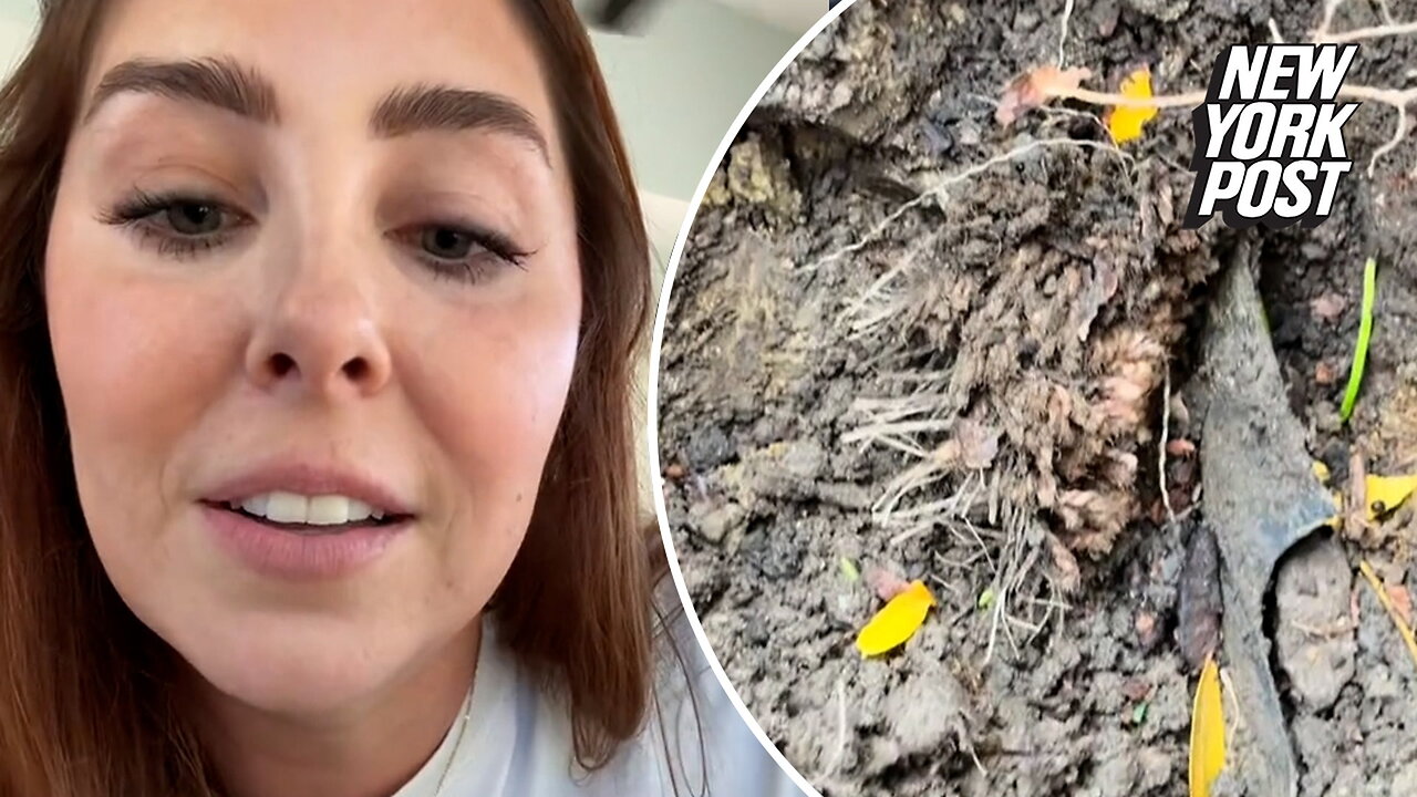 Woman discovers rug buried in her yard — and internet thinks it's a dead body