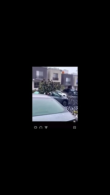 A NATUREZA SEMPRE DÁ SINAIS! KYOTO, JAPÃO. 07/02/2023.