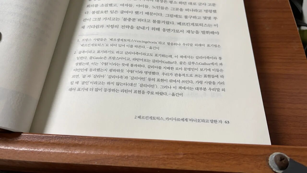 13인의 위대한 패배자들 장크리스포트 베르킨게토릭스 로마 카이사르 갈리아족 기병대 불충분 게르고비아 집정관 승리 호언장담 원로원 인내심 전쟁 베테랑 파비우스 막시무스 관개 부족