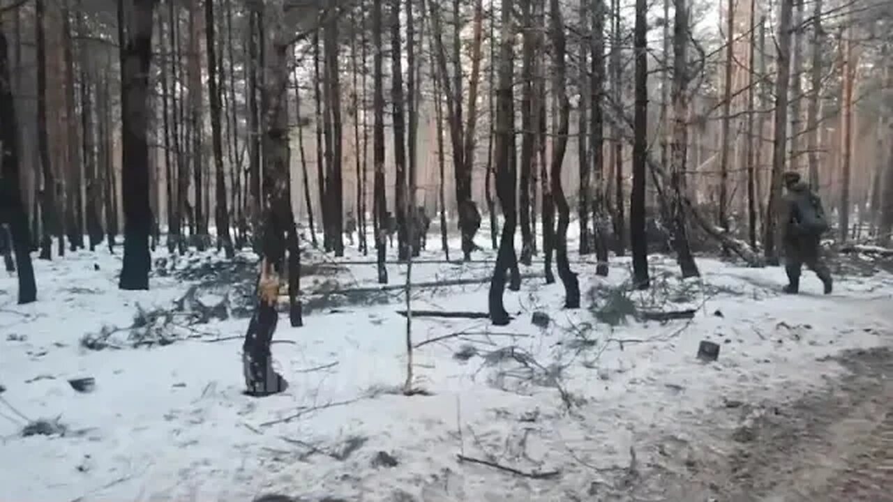 VDV paratroopers performed a successful attack on the forest’s south of Kremennaya