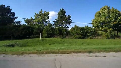 trees on side of road first person view SBV 347369805 HD