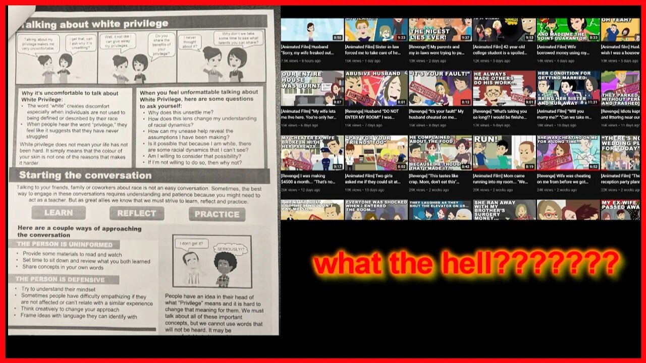 something is up with this white privilege pamphlets and animated story channels