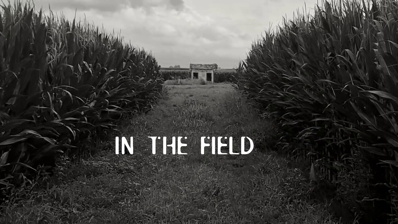 The S-Files: In the Field