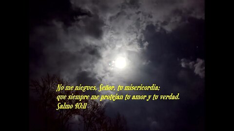 Versículo bíblico diario para hoy