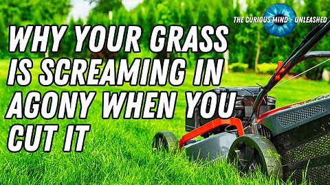 Is Your Lawn Crying for Help? The Science Behind Grass and Its Silent Scream