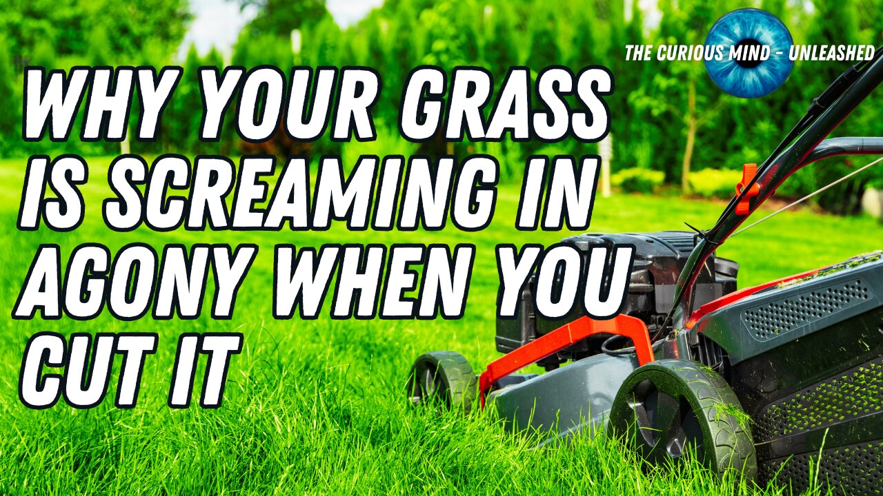 Is Your Lawn Crying for Help? The Science Behind Grass and Its Silent Scream