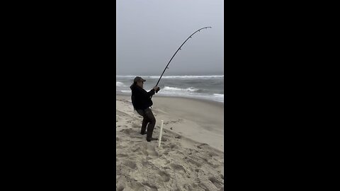 Striper battle