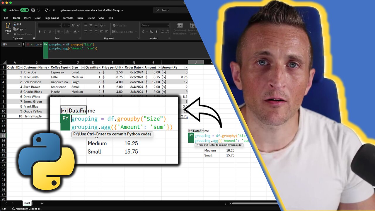 Does Python Belong in Excel?