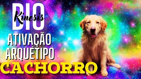 Ativação subliminal. O arquétipo de cachorro pode transformar sua vida hoje