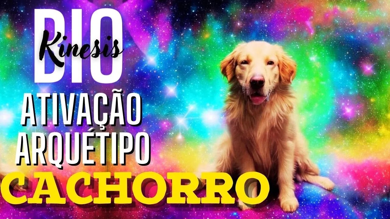 Ativação subliminal. O arquétipo de cachorro pode transformar sua vida hoje