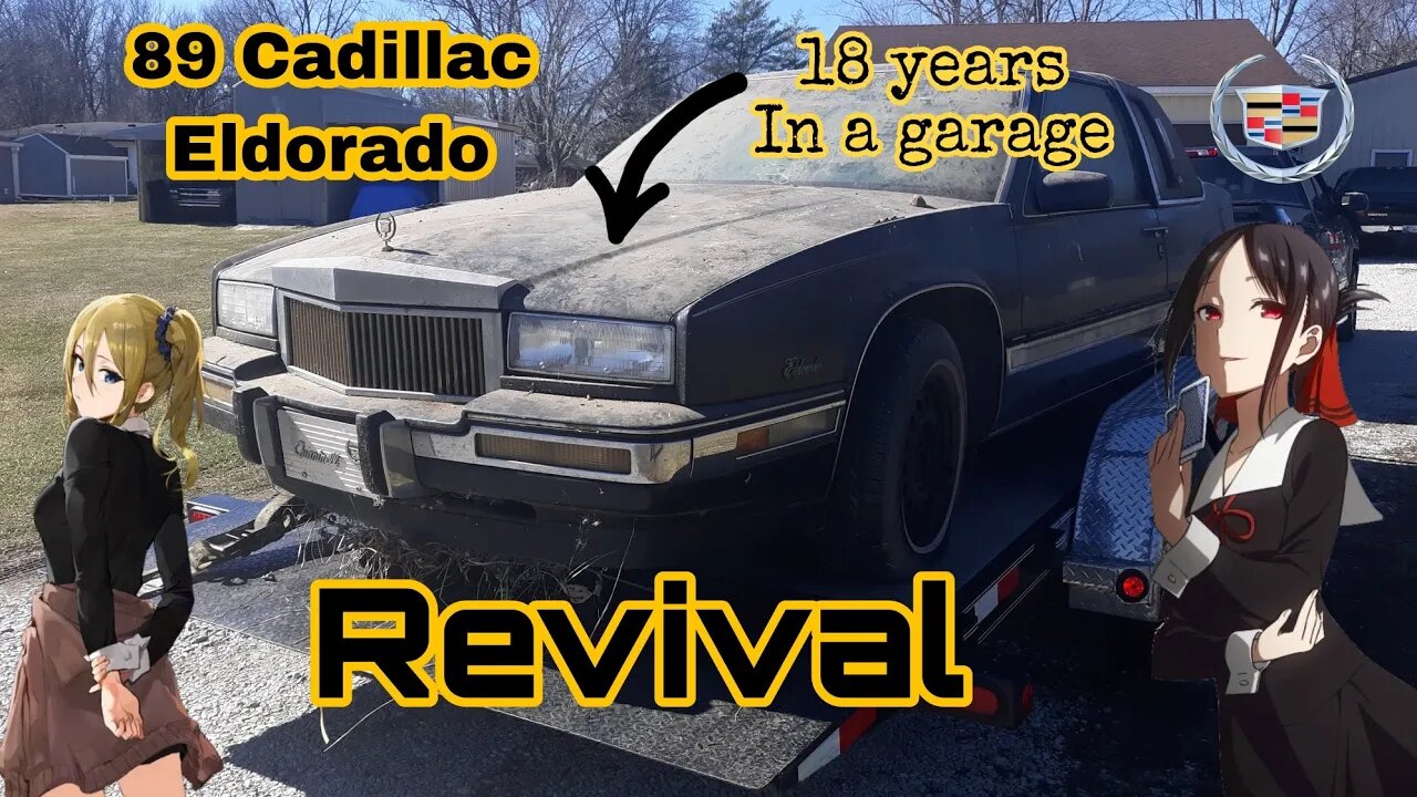 1989 Cadillac Eldorado Rescue and revival.