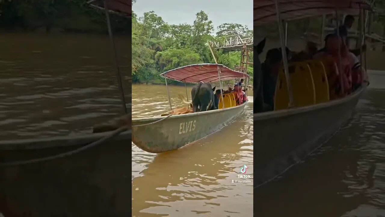 Scariest moment of my life! Full video on my IG: MURPHSLIFE