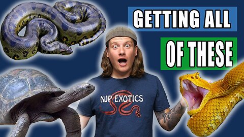 I’m Getting ALL of These Reptiles! Or Should I?…