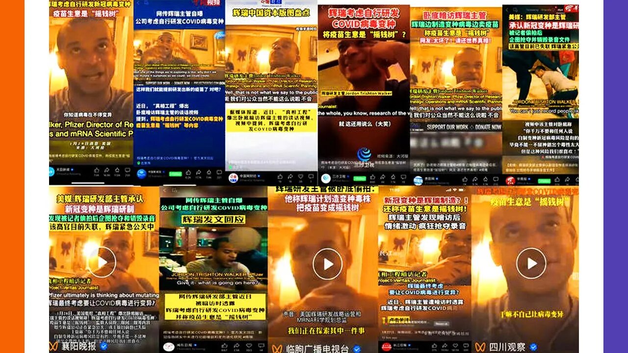 Chinese Media Promoting Project Veritas's Pfizer Expose 🟠⚪🟣 NPC Crime