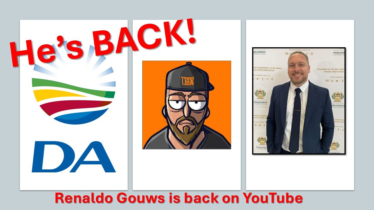 Renaldo Gouws details Democratic Alliance case in new YouTube video