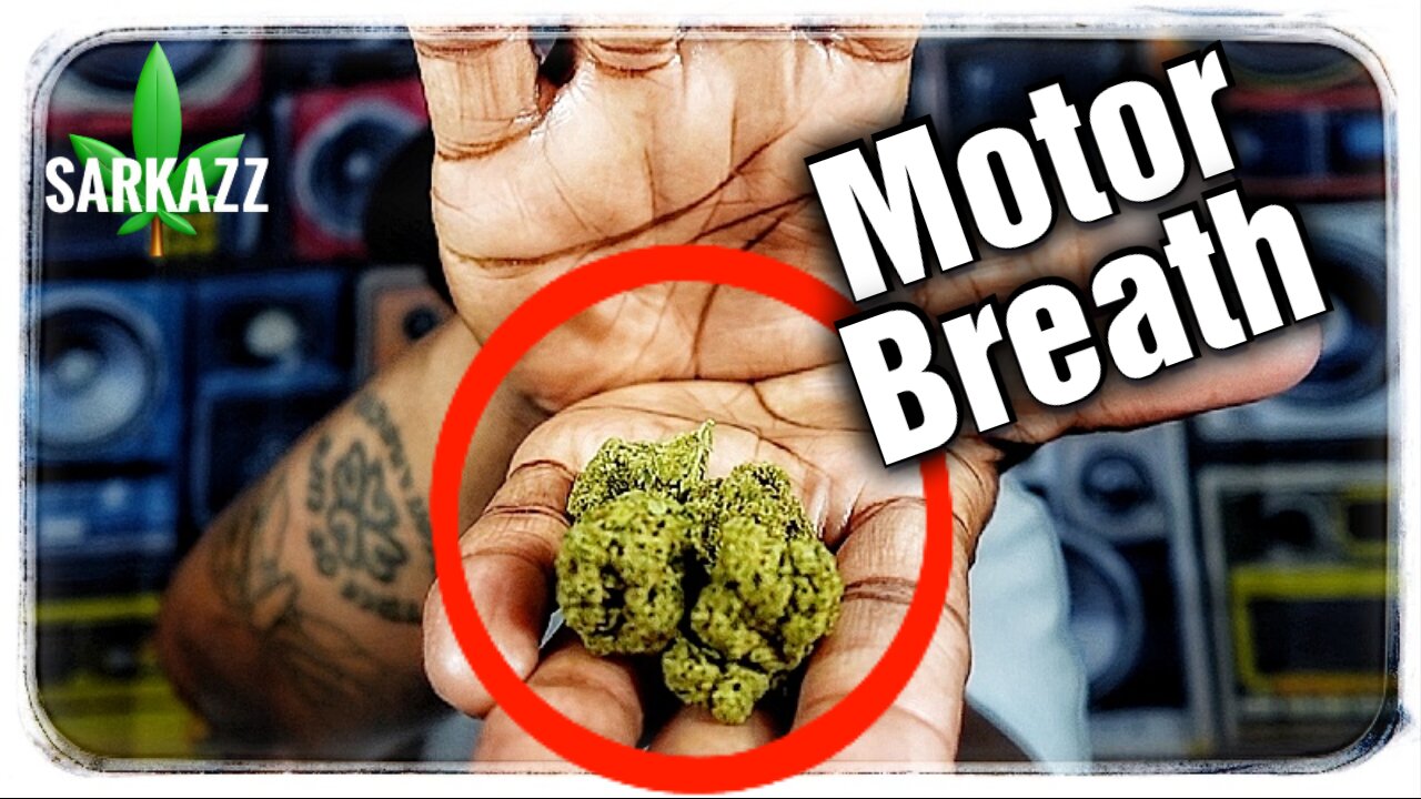 🚀 Unleashing the Power of Motor Breath THCA 🚗💨 | JK Distro Strain Review