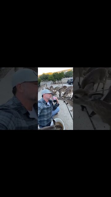 Meet the Deer Whisperer 🦌