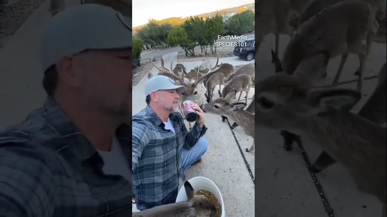 Meet the Deer Whisperer 🦌