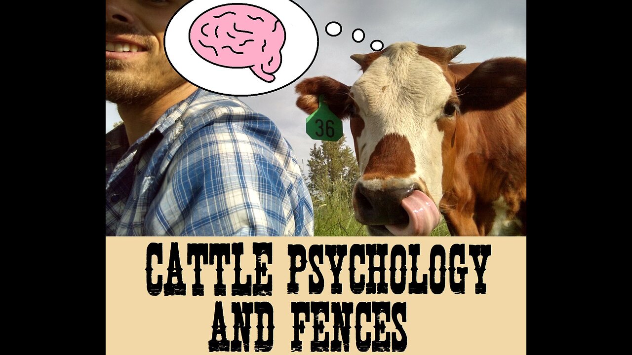 Cattle Psychology and Fences (Part 1)