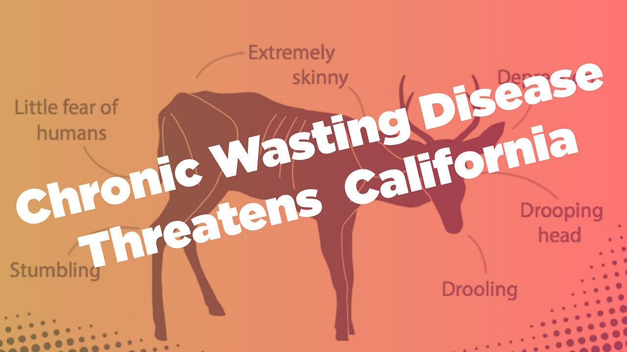 Chronic Wasting Disease Threatens California